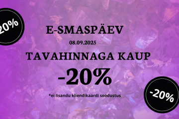 E-smaspäev 08.09 Laste Maailmas!
