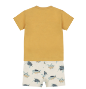 НОВЫЙ! Комплект из 2 штук. Черепаха P. N58632, 88 kaamelipruun